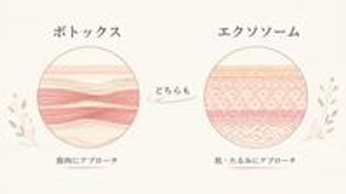 ボトックスとエクソソームがそれぞれ筋肉と肌にアプローチする違いを示した図解画像