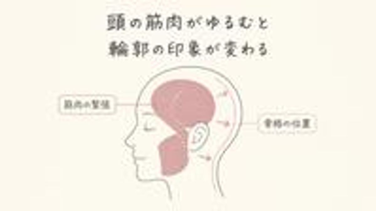 頭と顔の筋肉の緊張がゆるむことで輪郭の見え方が変わる仕組みを示した図解画像