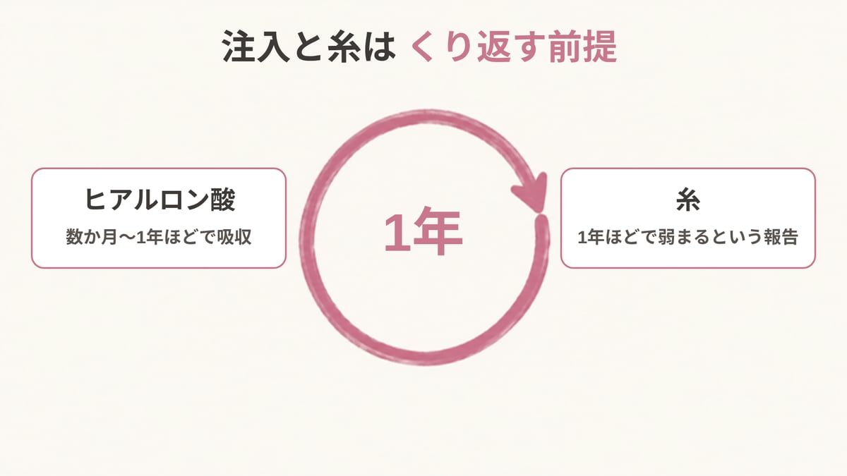 1年の輪の両側に、ヒアルロン酸は数か月〜1年ほどで吸収、糸は1年ほどで弱まるという報告と添え、注入と糸はくり返す前提であることを示した画像